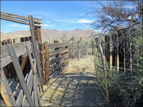 Willow Wash Corral