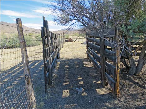 Willow Wash Corral