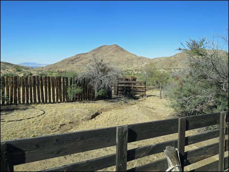 Willow Wash Corral