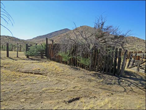 Willow Wash Corral