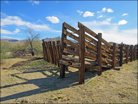 Willow Wash Corral