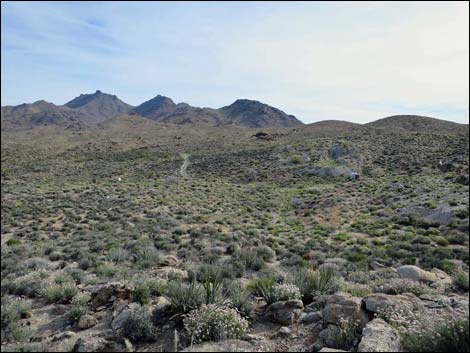 Windmill Mine