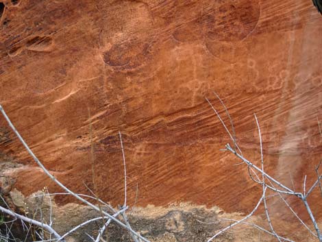 Gold Butte petroglyphs