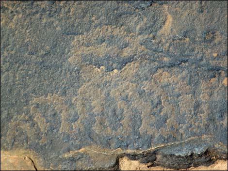 Rock Art Around Gold Butte