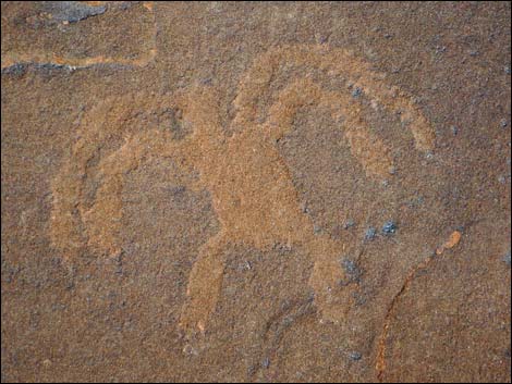 Rock Art Around Gold Butte