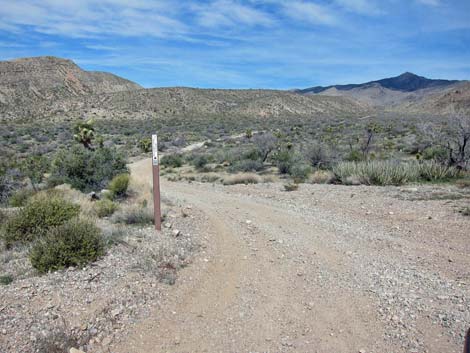 Whitney Wash Loop