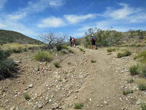 Whitney Wash Loop