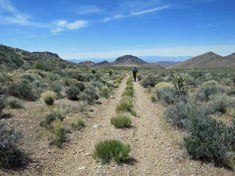 Whitney Wash Loop