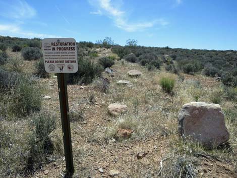 Whitney Wash Loop