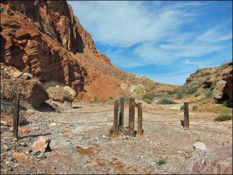 Red Bluff Spring