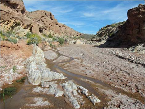 Red Bluff Spring