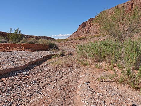 Red Bluff Spring