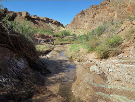 Red Bluff Spring