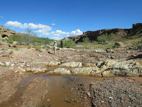 Red Bluff Spring