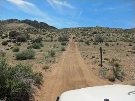 Billy Goat Peak Road