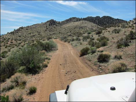 Billy Goat Peak Road