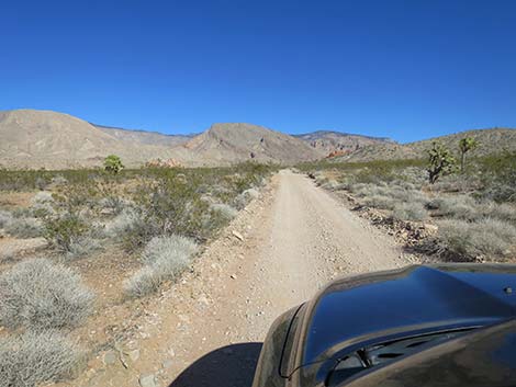 Black Butte Road