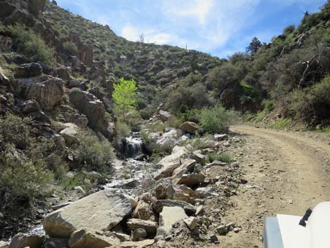 Cabin Canyon Road