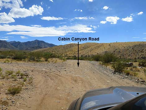 Cabin Canyon Road