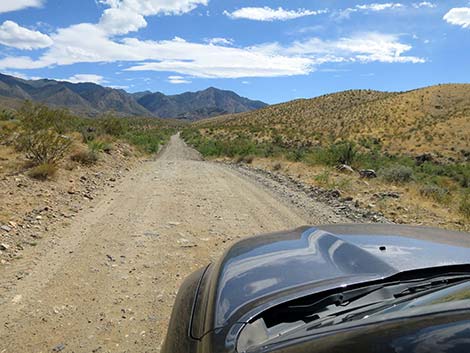 Cabin Canyon Road