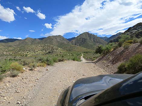 Cabin Canyon Road