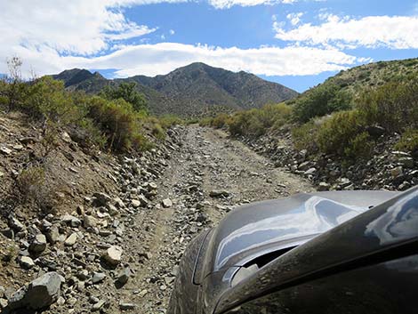 Cabin Canyon Road