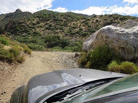 Cabin Canyon Road