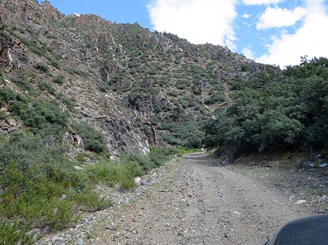 Cabin Canyon Road