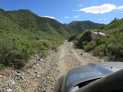 Cabin Canyon Road