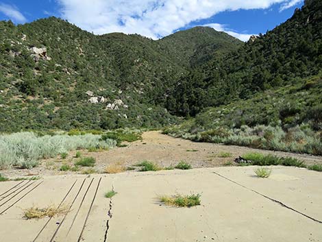 Cabin Canyon Landing