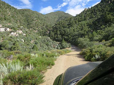 Silverleaf Mine Road 