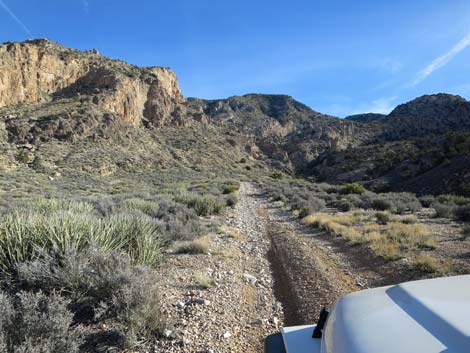 Cabin Spring Road