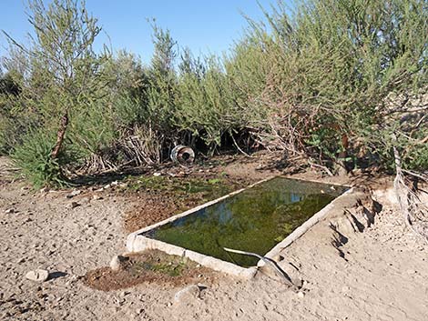 Agua Chiquita Spring