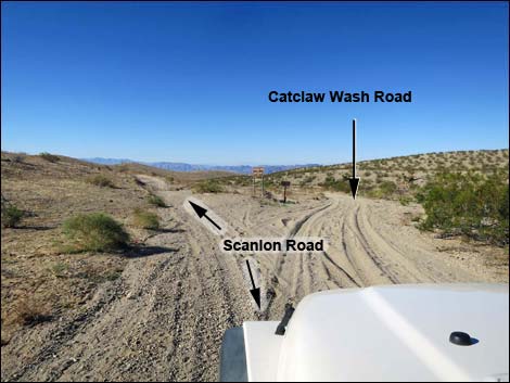 Catclaw Wash Road