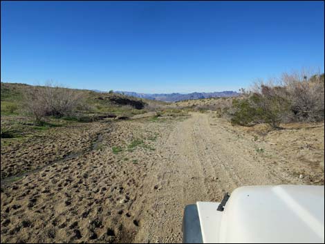 Catclaw Wash Road