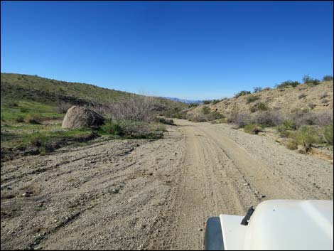 Catclaw Wash Road