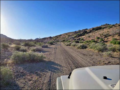 Cedar Basin Road