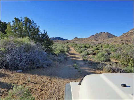 Cedar Basin Road