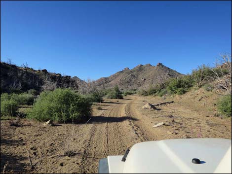 Cedar Basin Road