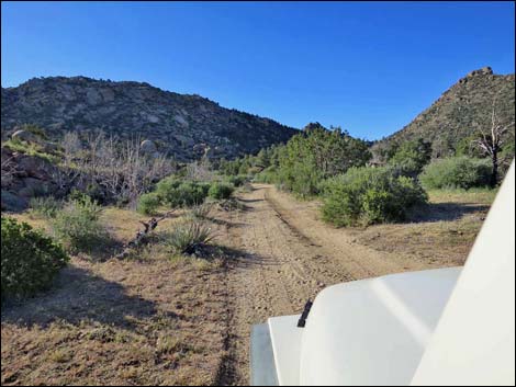 Cedar Basin Road