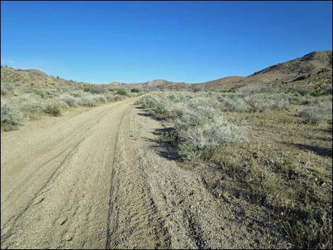 Cedar Basin Road