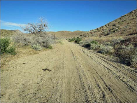 Cedar Basin Road