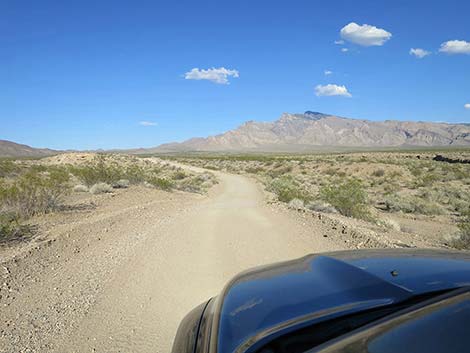 Fisherman Cove Road