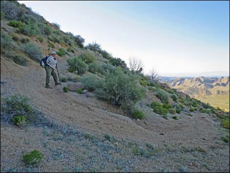 Gold Butte Peak Road