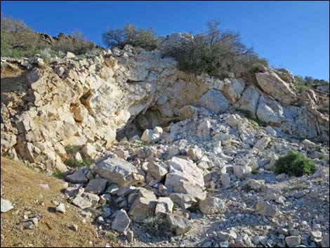 Gold Butte Peak Road