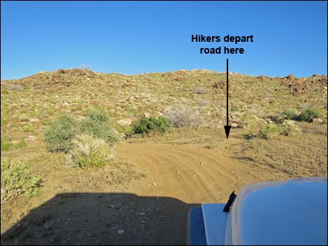 Gold Butte Peak Road