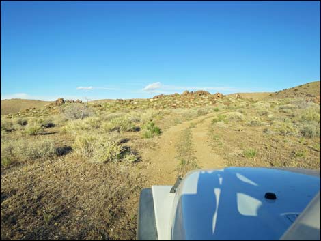 Gold Butte Peak Road