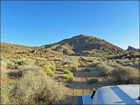 Gold Butte Peak Road