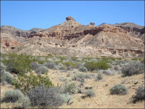 Gold Butte Road