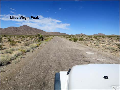 Gold Butte Road